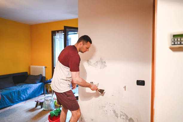 Best Insurance-Related Mold Remediation in Dodson Branch, TN